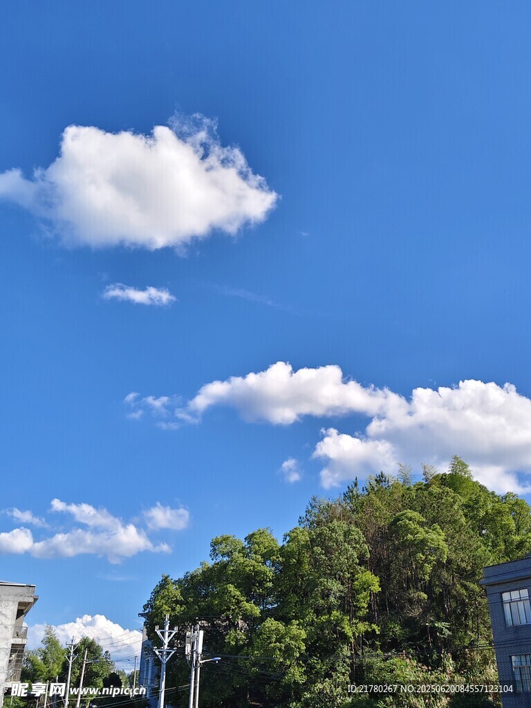 藍天綠樹風景圖