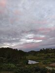 黃昏下的田野與水塘景色