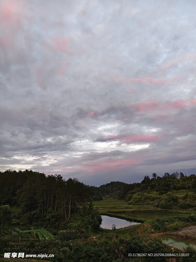黃昏下的田野與水塘景色