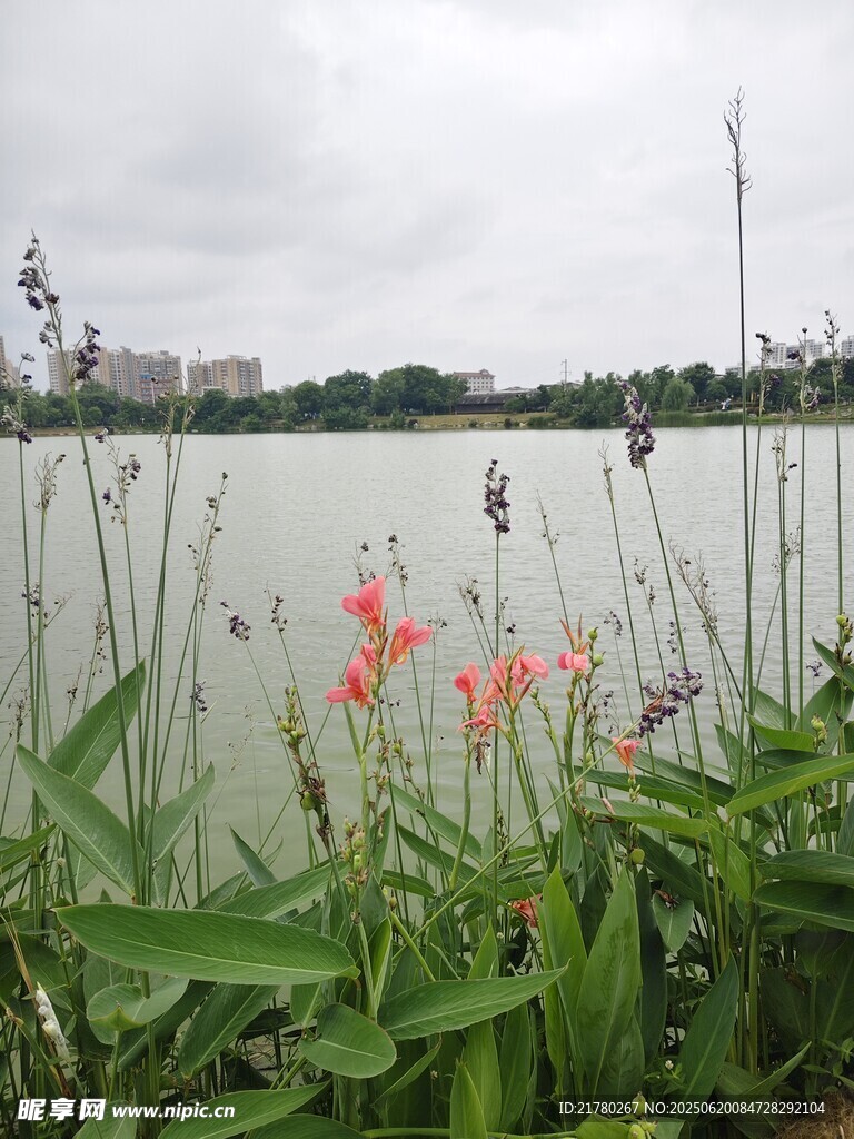 湖畔美景