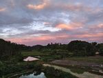 鄉村黃昏美景