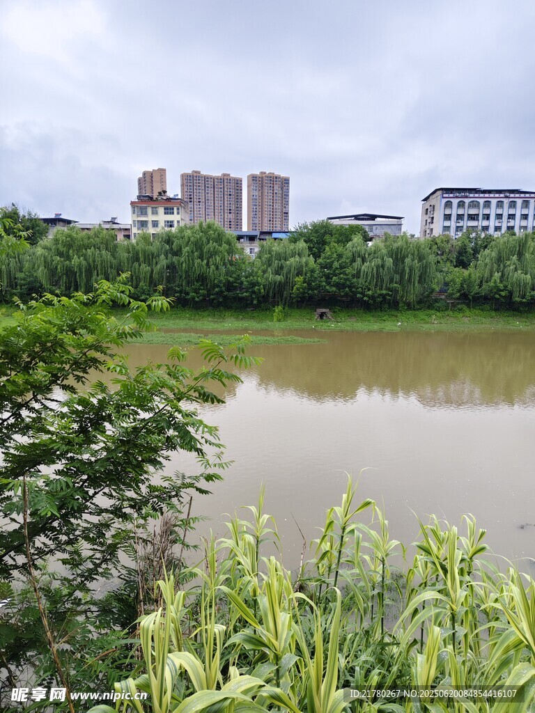城郊河畔風光