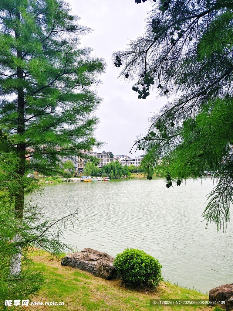 湖畔綠樹成蔭的靜謐景致