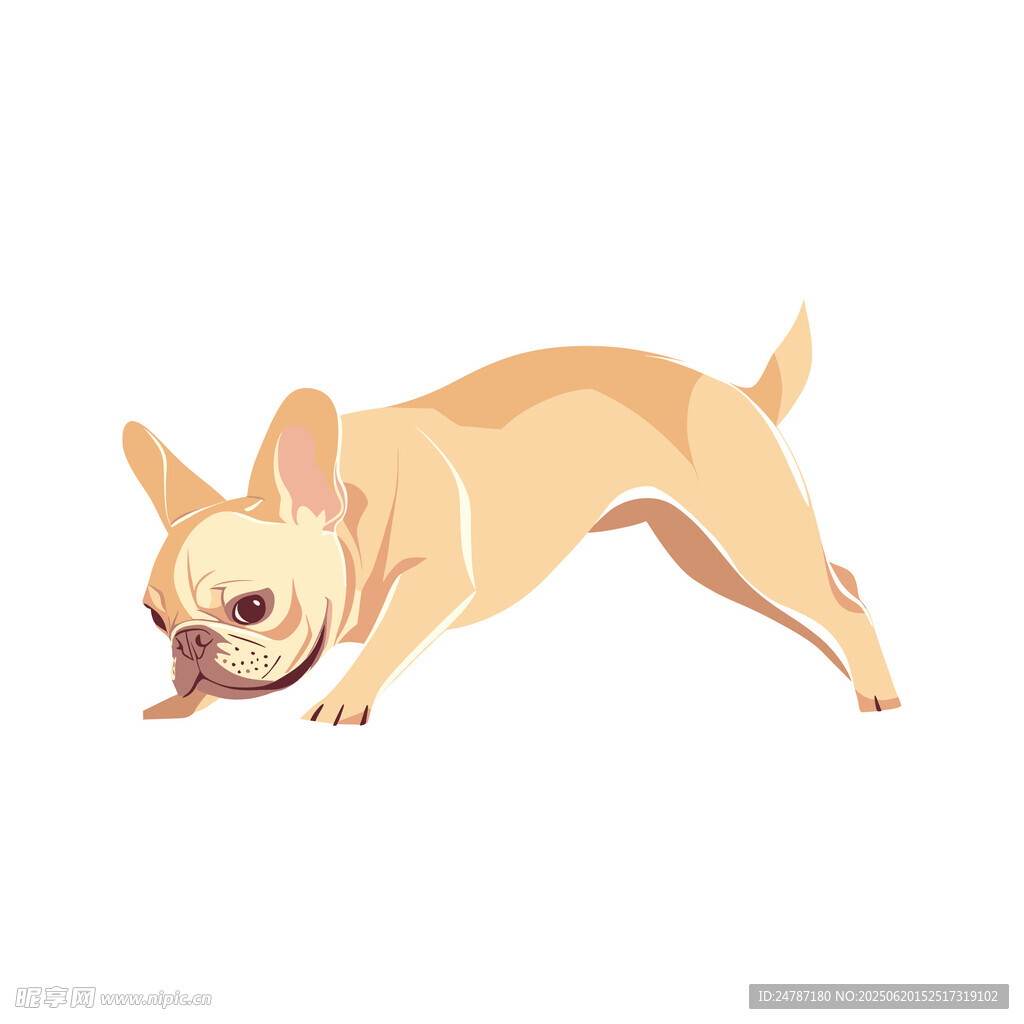 斗牛狗