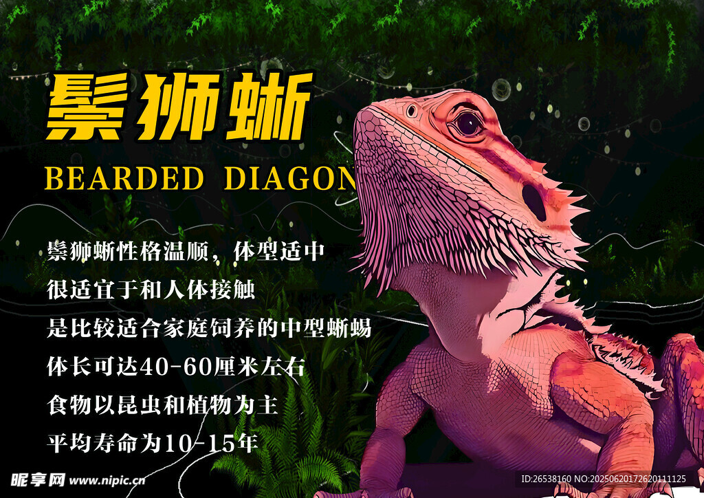 鬃獅蜥介紹頁