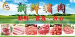 新鮮豬肉供應