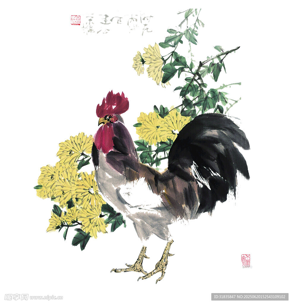國畫雄雞伴菊圖