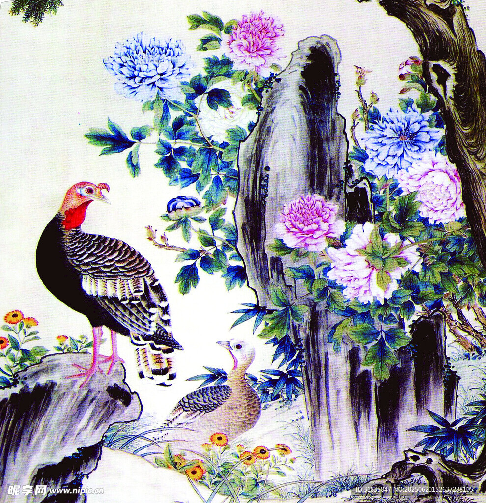 花鳥圖中錦雞棲于山石間