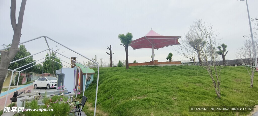戶外草坪休閑場景