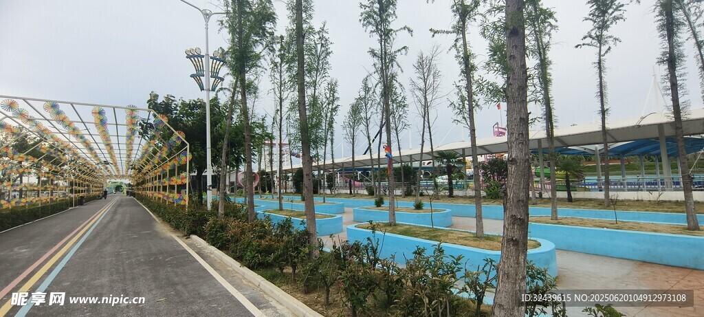 戶外泳池旁的林蔭道路