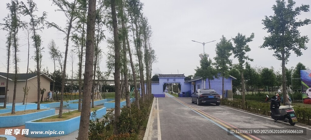 道路旁整齊排列的樹(shù)木景觀