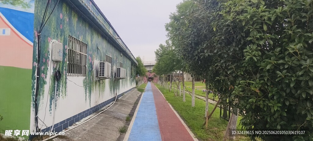 彩色建筑旁的綠樹景觀