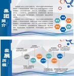 企業發展歷程信息圖表