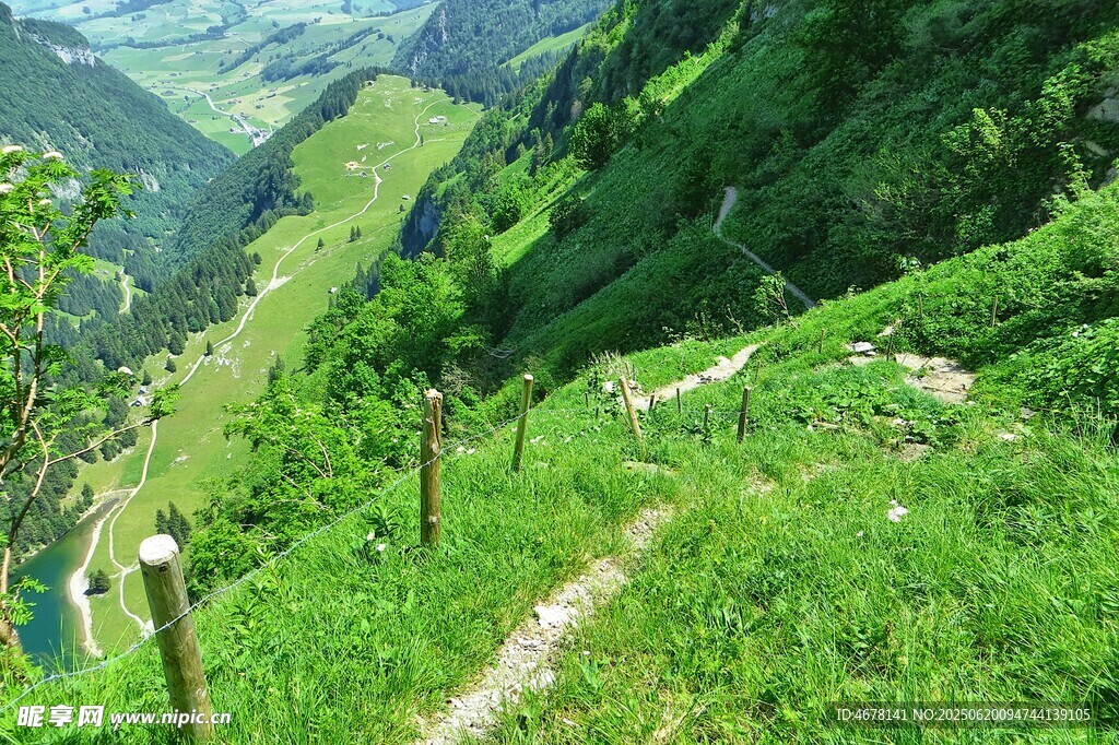 山間小徑綠意盎然的美景