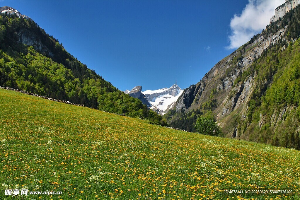 山間綠野邂逅自然美景