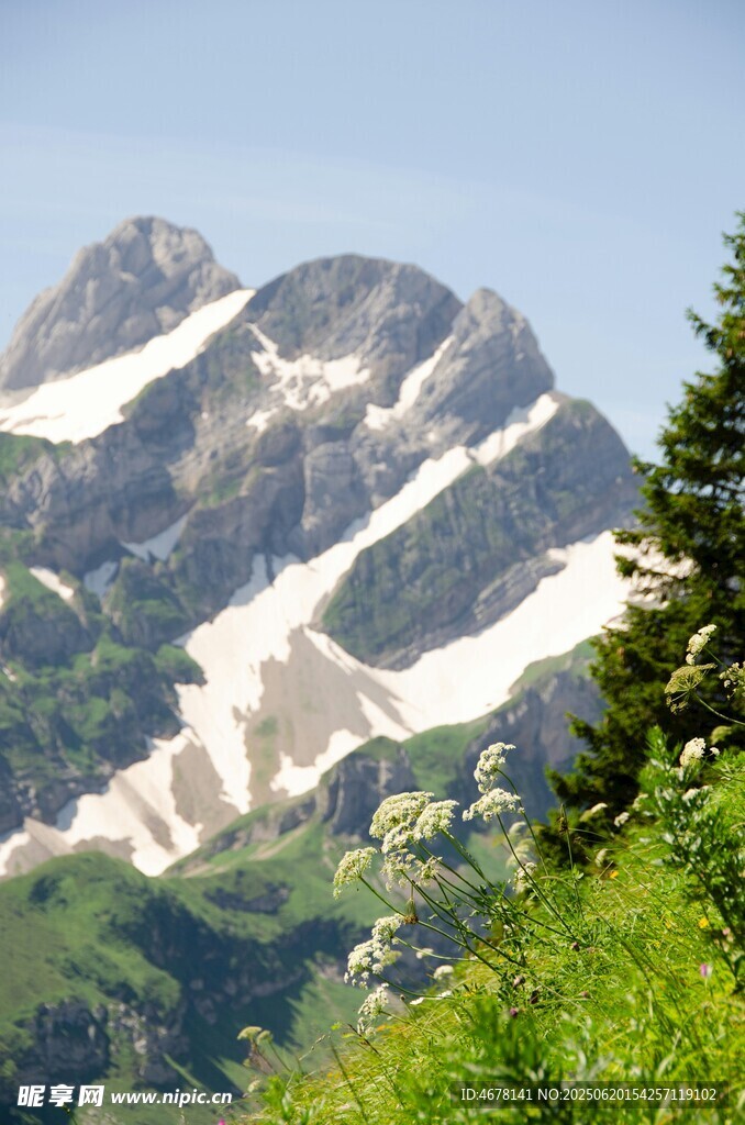 巍峨雪山與蔥郁山林
