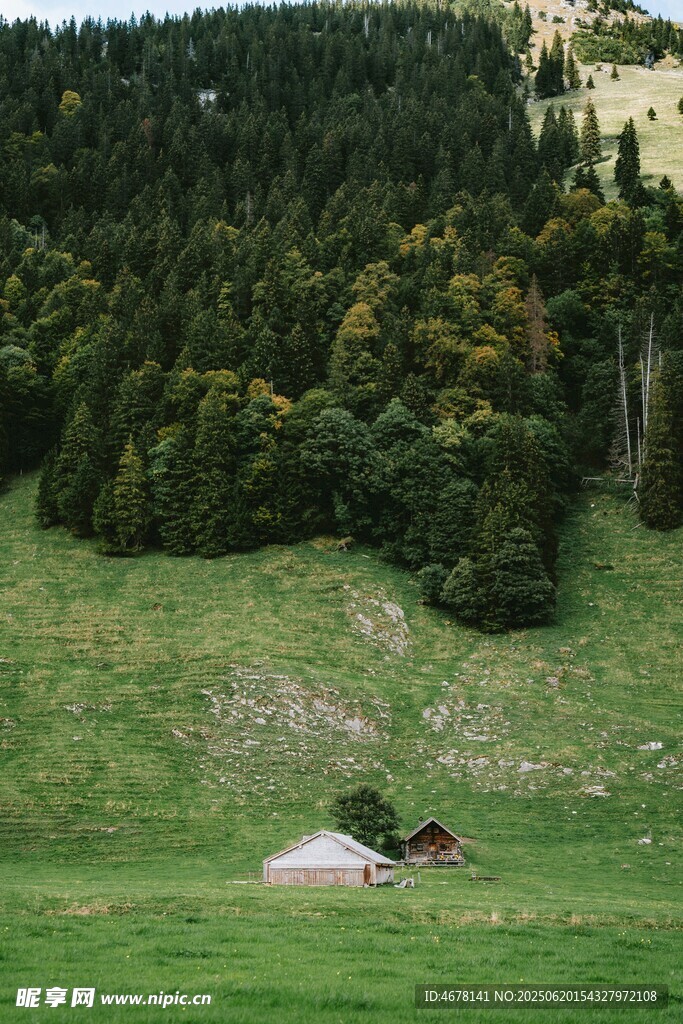 山間綠草地中的小屋
