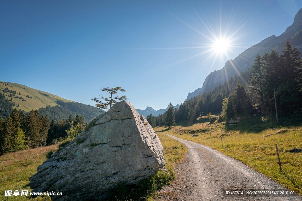 山間石徑陽光灑落美景