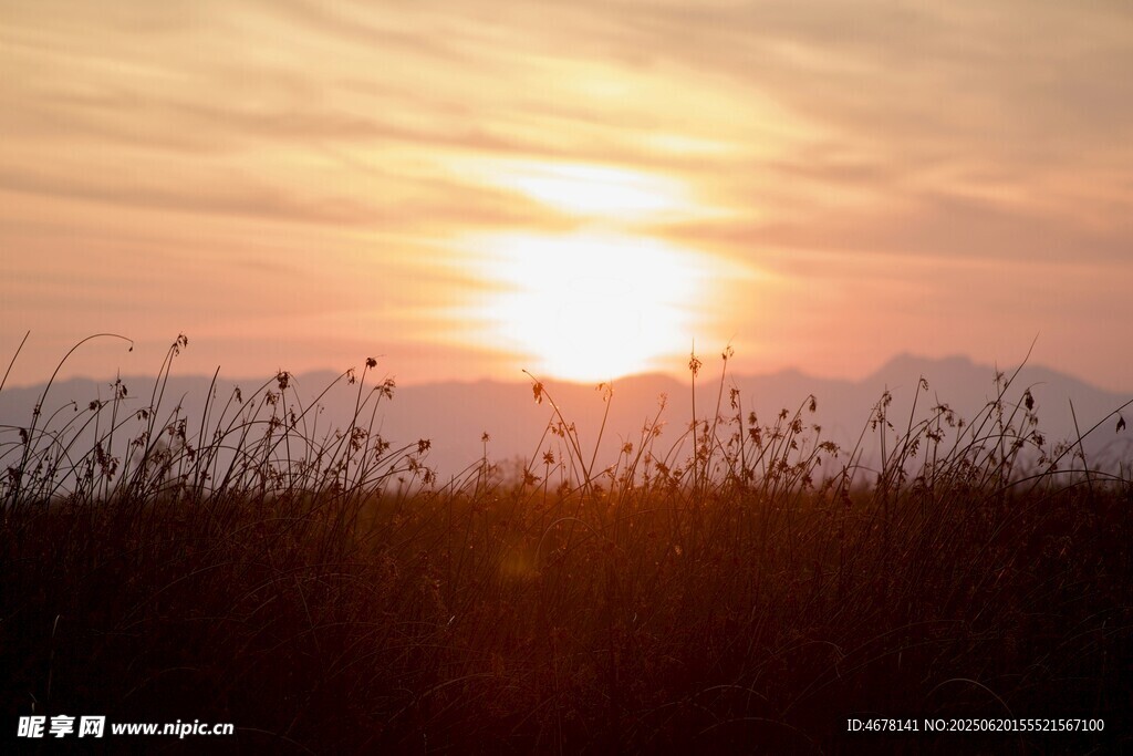 夕陽下的草地美景