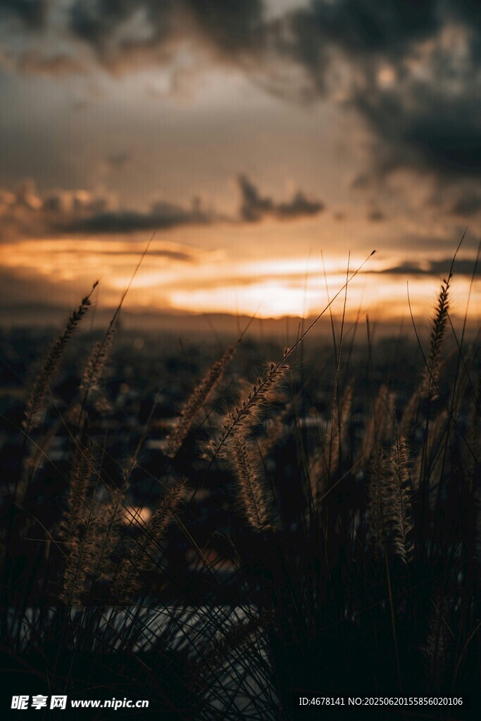 日落時分的曠野美景