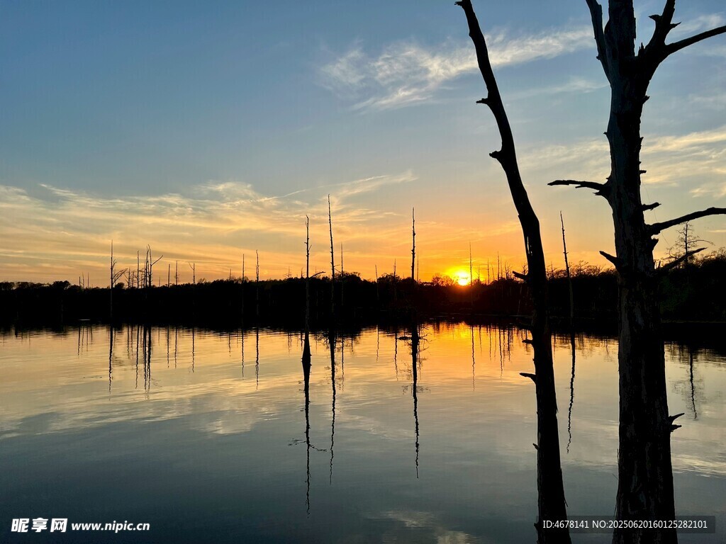 夕陽下的靜謐湖面與枯樹