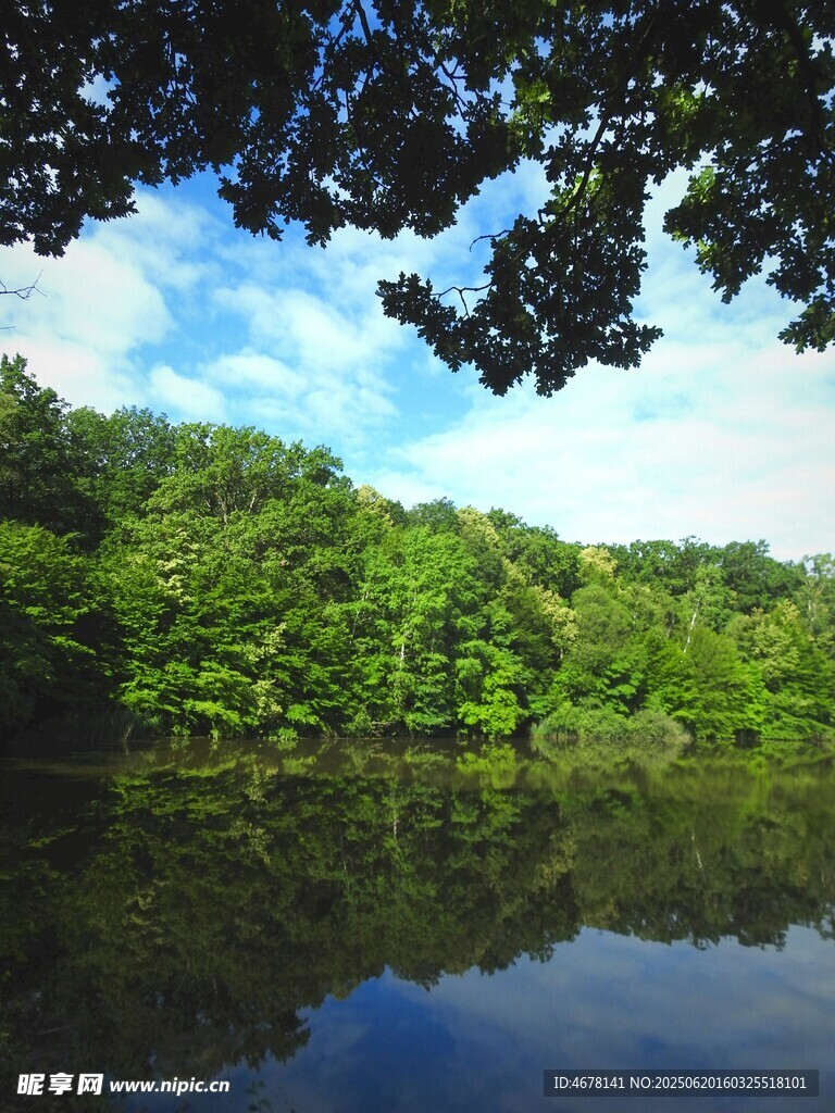 湖畔綠意自然靜謐之景