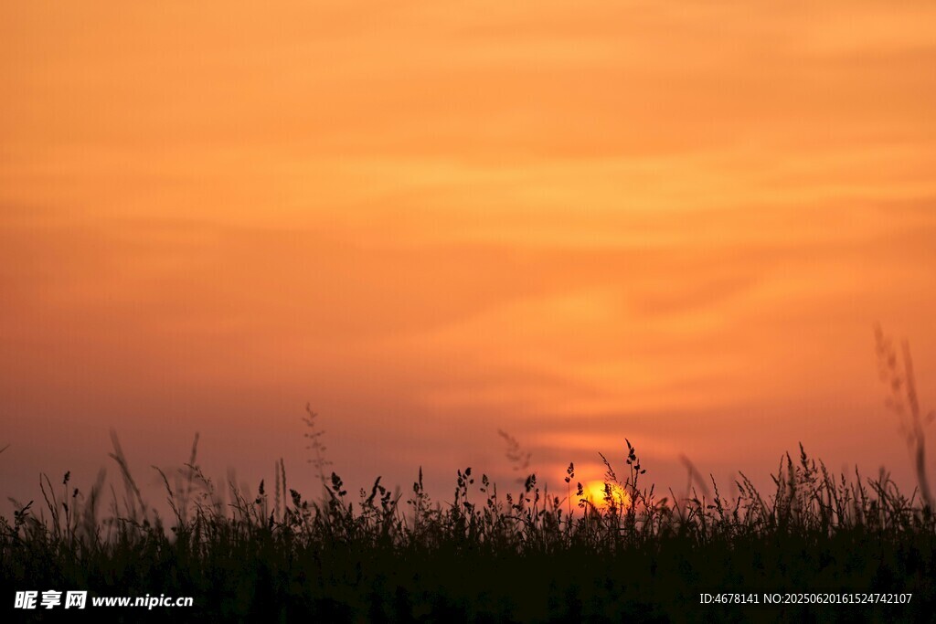夕陽下的草地美景