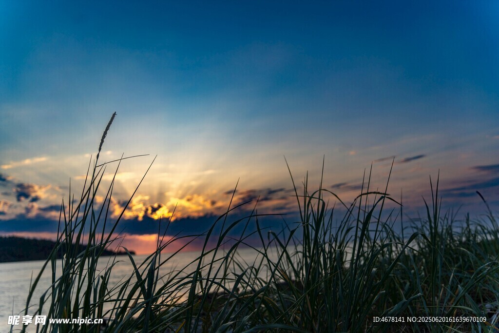 湖畔夕陽下的蘆葦美景