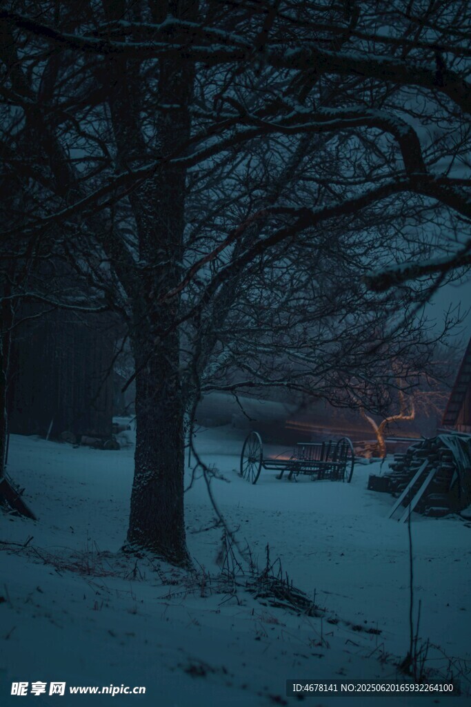 雪夜中的靜謐樹林與房屋