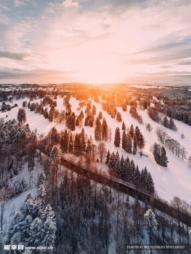 冬日雪林日出美景