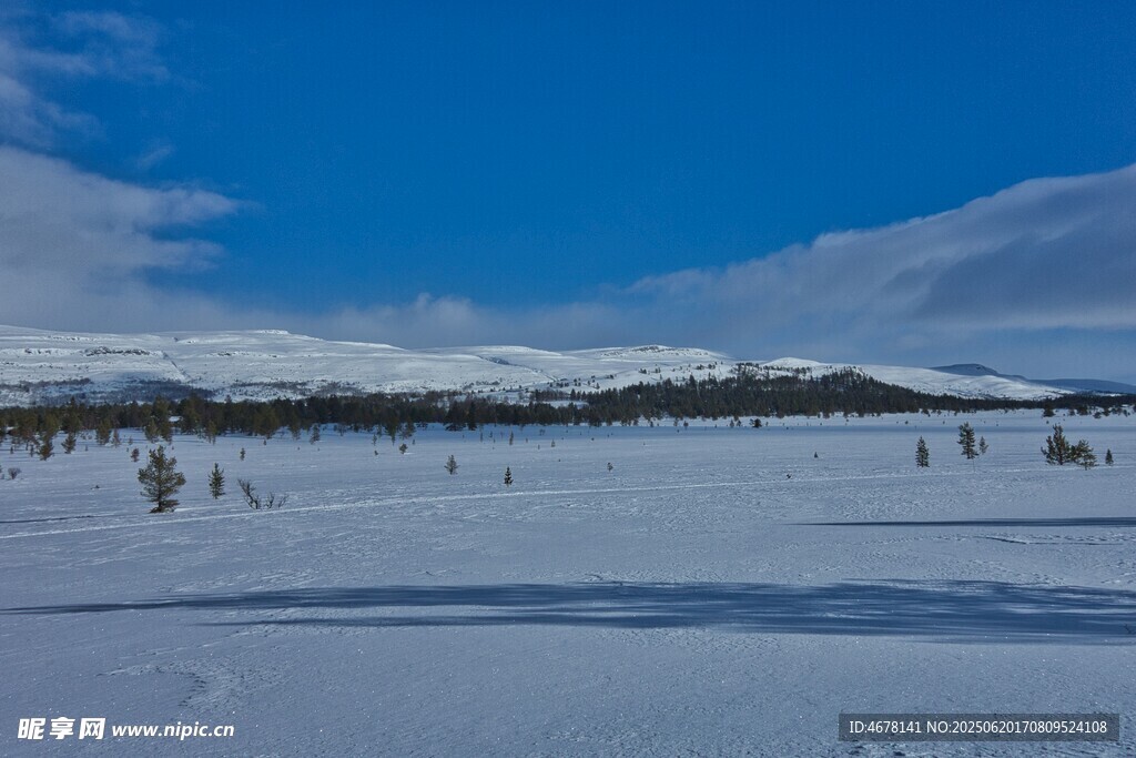 冬日雪景廣袤雪地與藍(lán)天