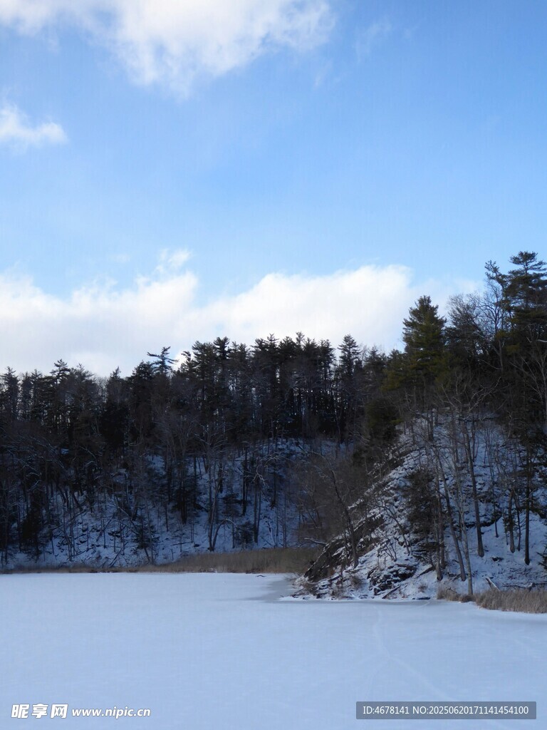 冬日雪覆湖泊與蔥郁山林