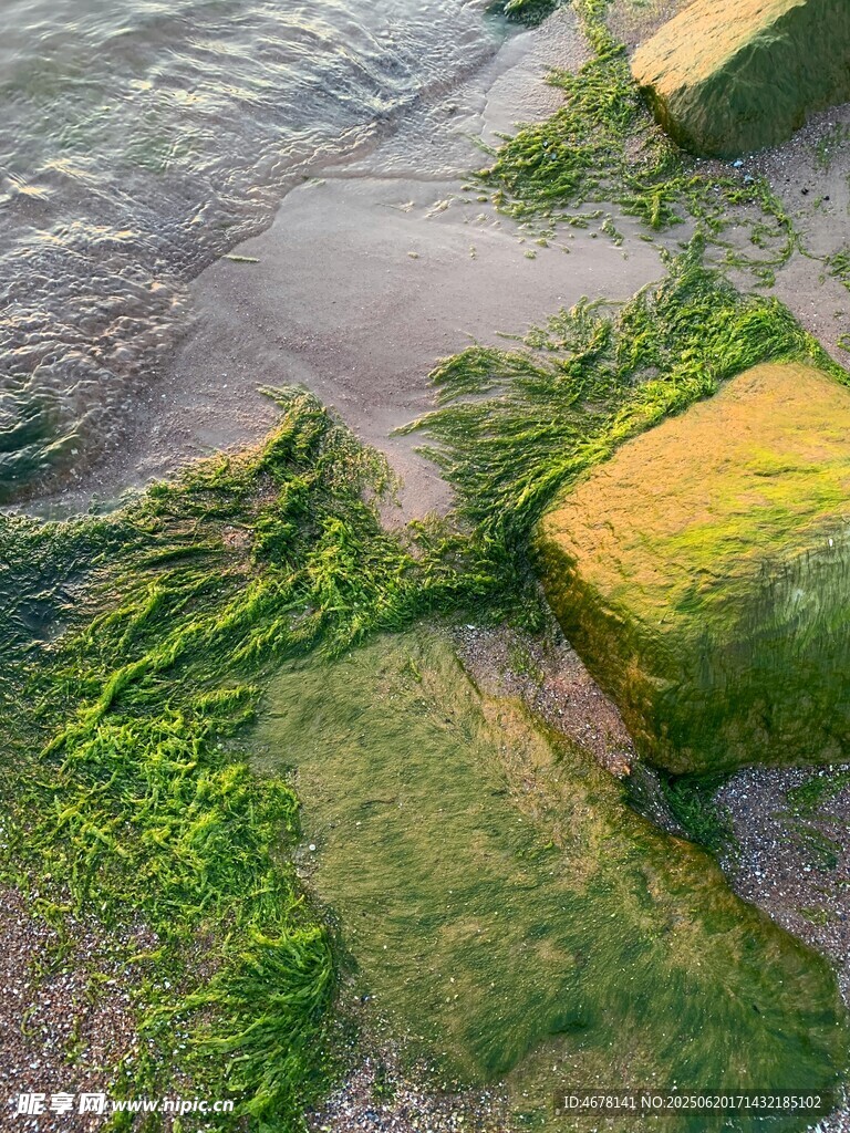 長滿青苔的水邊石塊