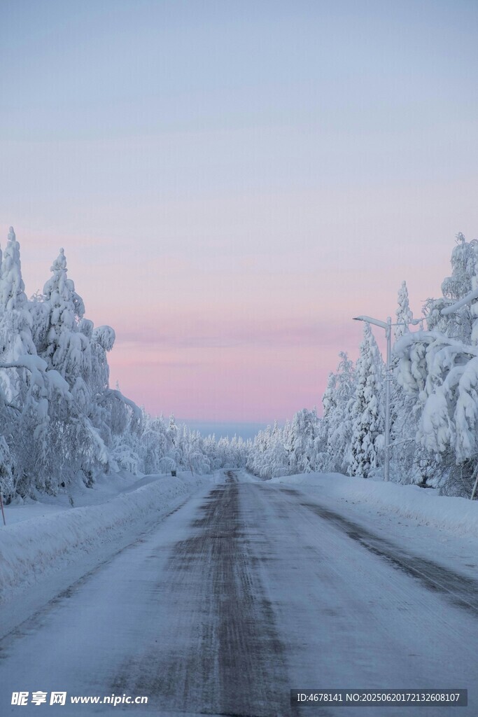 冬日雪路靜謐夢幻之景