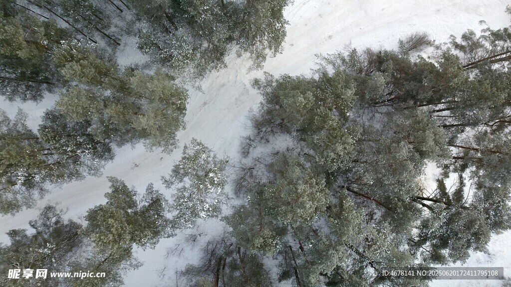空中俯瞰雪覆森林景象