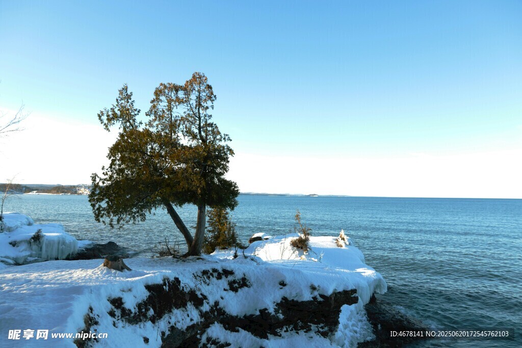 冬日海岸孤樹雪景