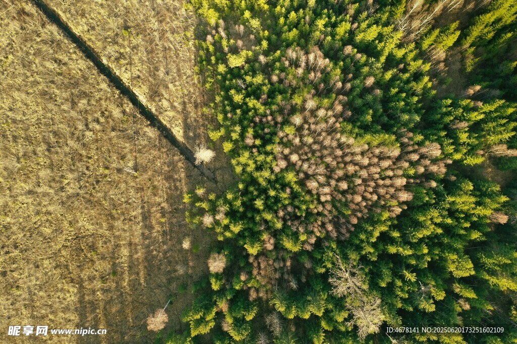 空中俯瞰農(nóng)田與茂密植被