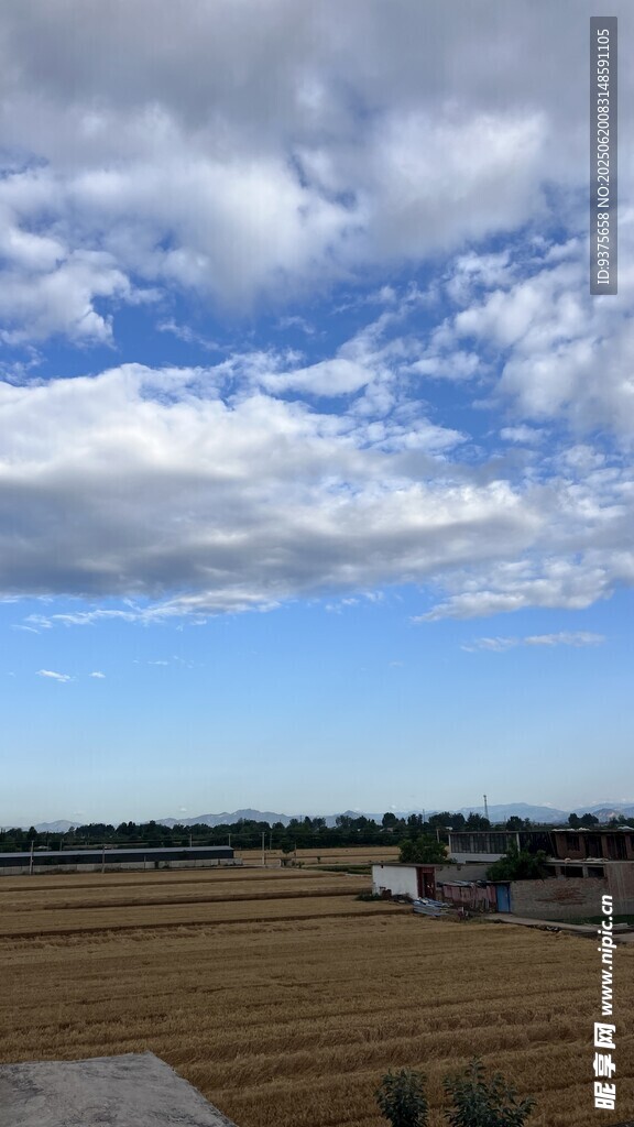 田野藍天美景
