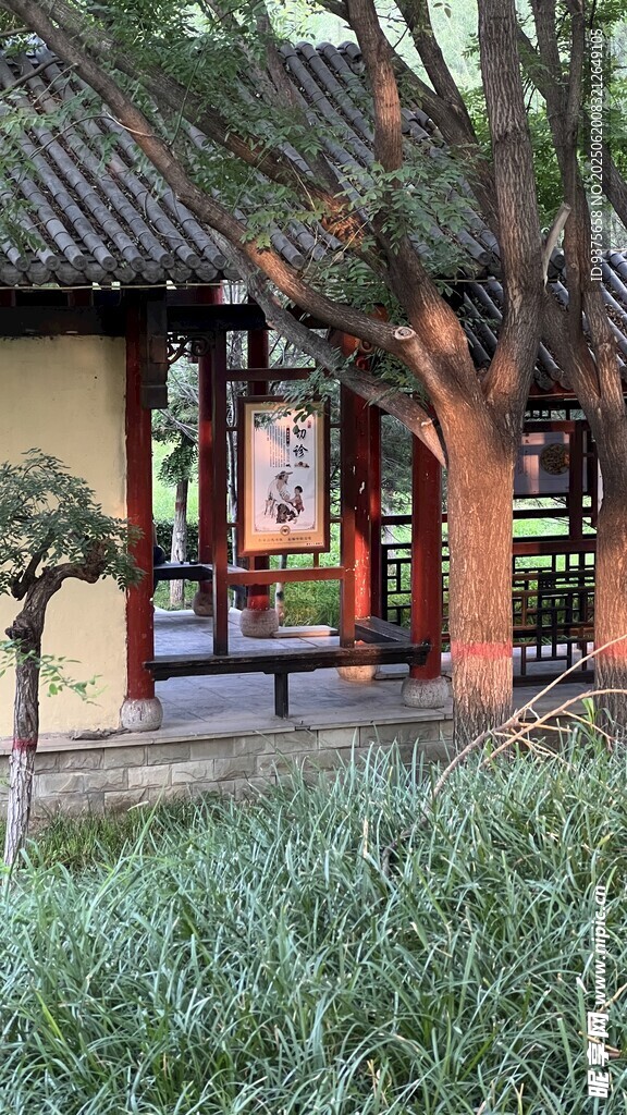 中式庭院綠植環繞景致