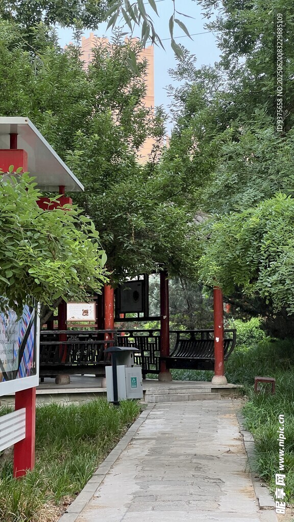 小區(qū)內(nèi)幽靜的林蔭小道