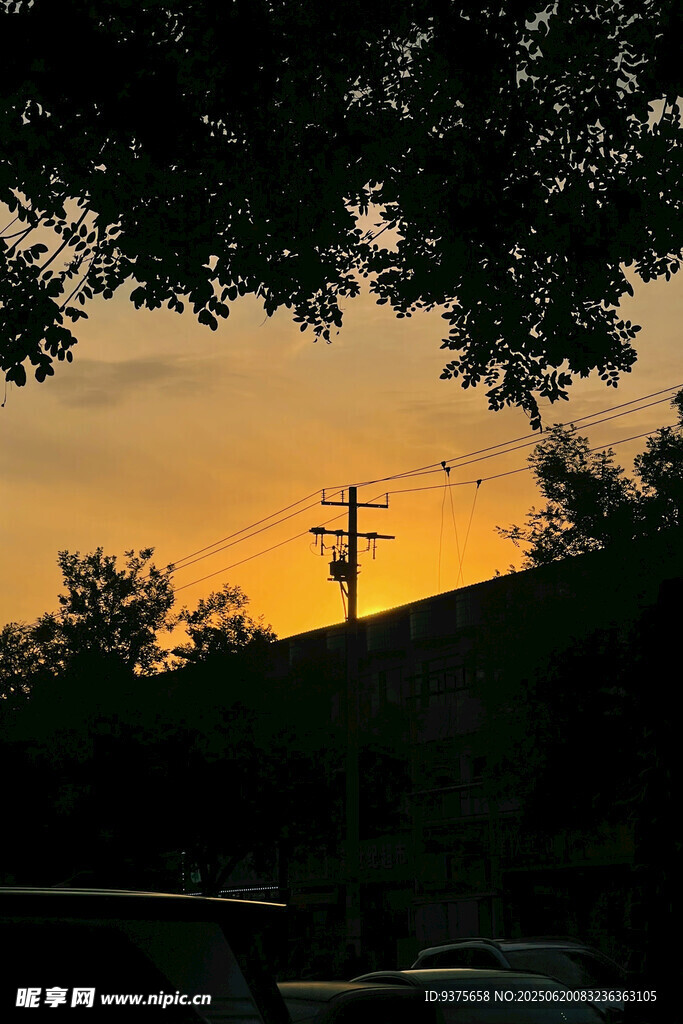 夕陽(yáng)下的樹(shù)影與電線(xiàn)桿