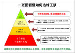 蜂王漿等級圖