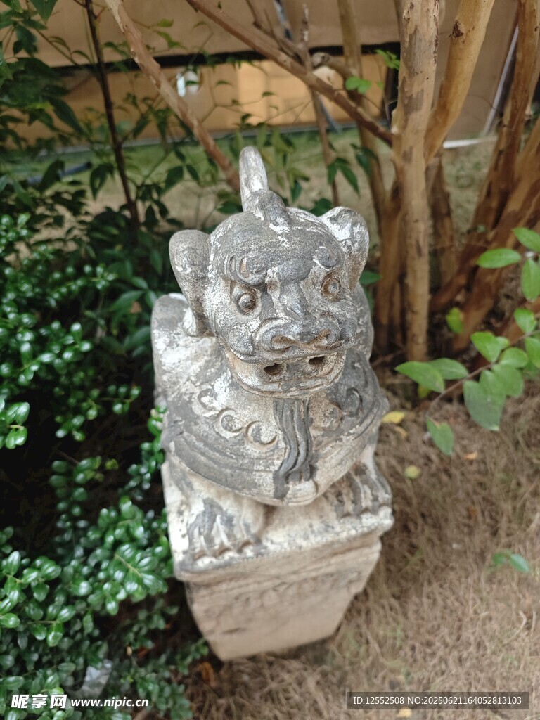 庭院中的石獅子雕塑