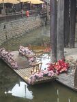 水上竹筏裝飾鮮花場景