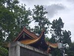 中式古建筑屋頂與綠樹