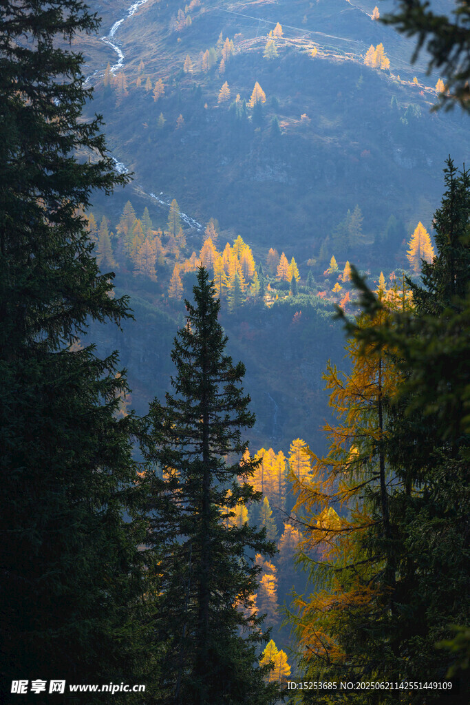山林間的光影美景
