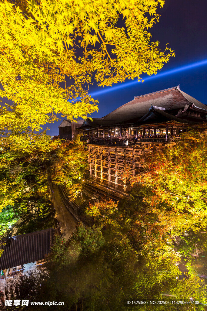 夜幕下金黃銀杏環繞的古建