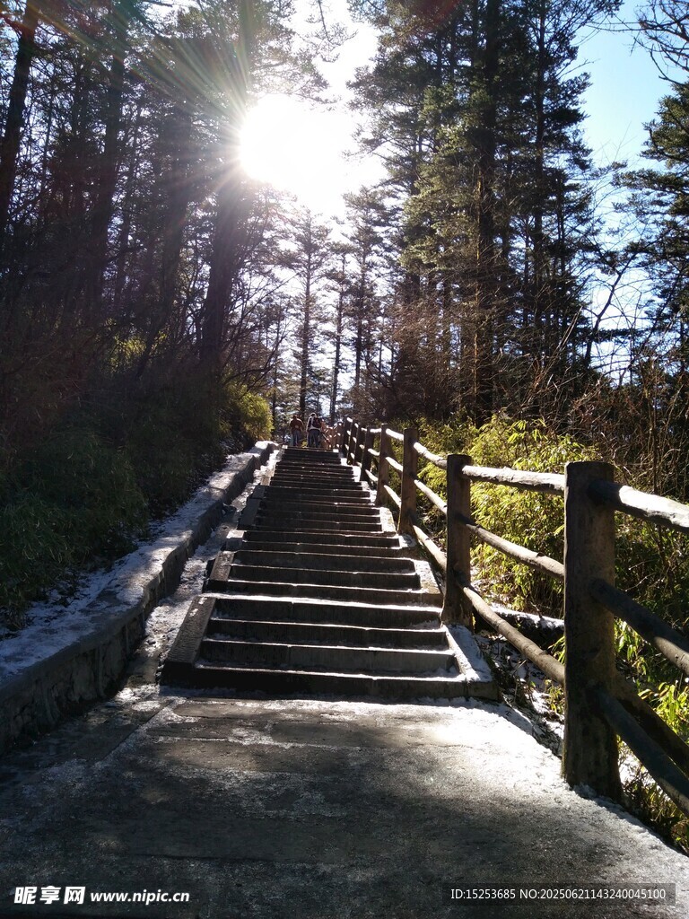 林間陽光灑落的木質步道
