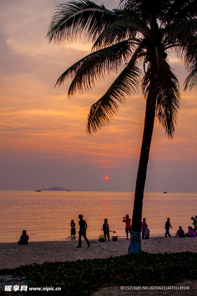 夕陽下的椰樹海灘美景