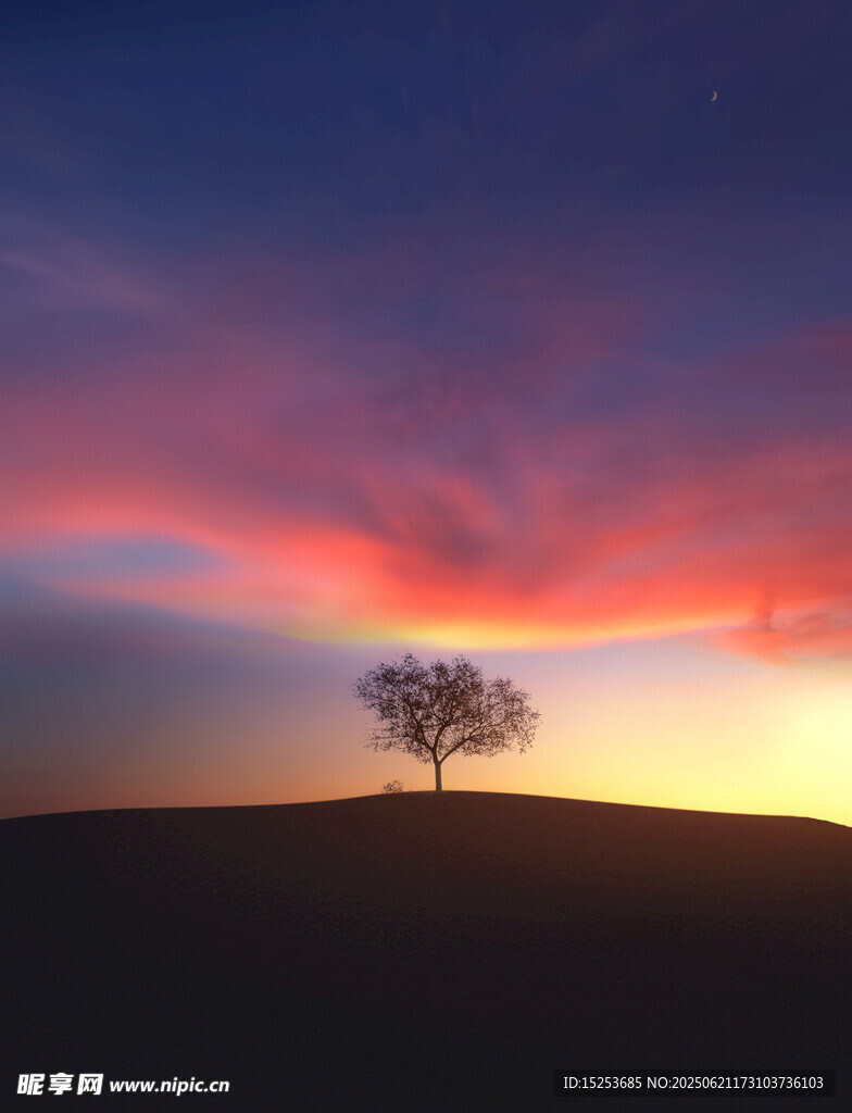 夕陽(yáng)下的孤樹美景